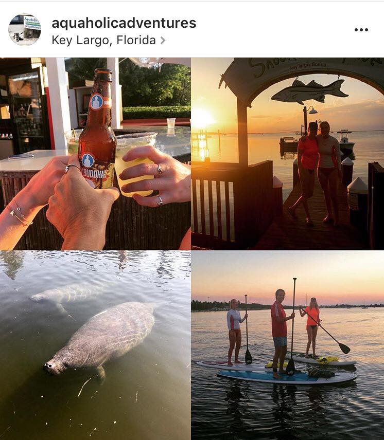 manatee tours key largo