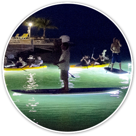 night paddleboard tours