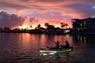 manatee tours key largo